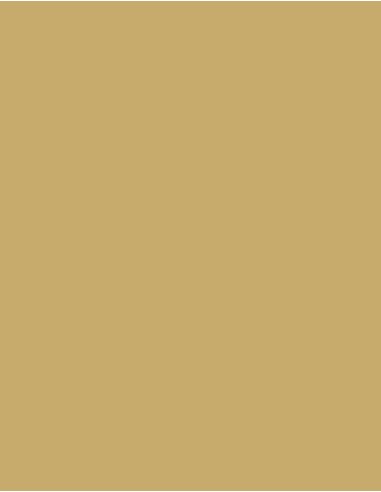 MAE-919-719-Polyneon 40 (1.000 m)