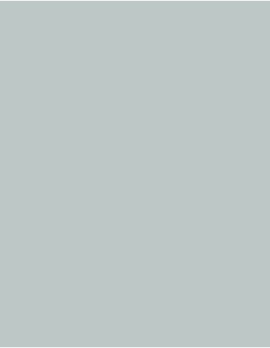 MAE-919-719-Polyneon 40 (1.000 m)
