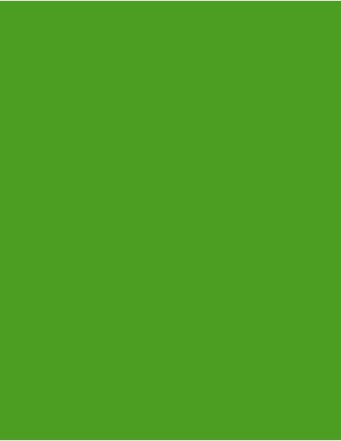MAE-919-719-Polyneon 40 (1.000 m)