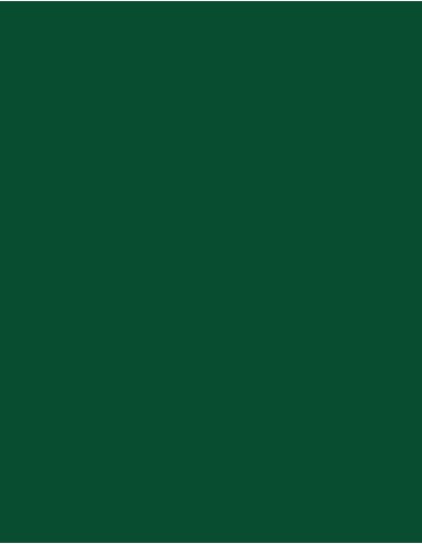 MAE-919-719-Polyneon 40 (1.000 m)