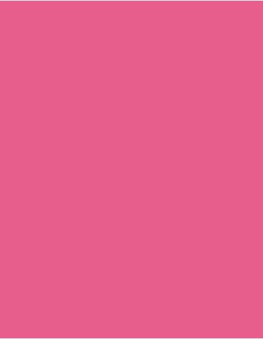 MAE-919-719-Polyneon 40 (1.000 m)