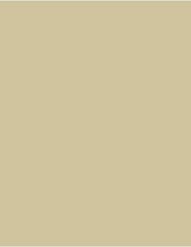 MAE-919-719-Polyneon 40 (1.000 m)