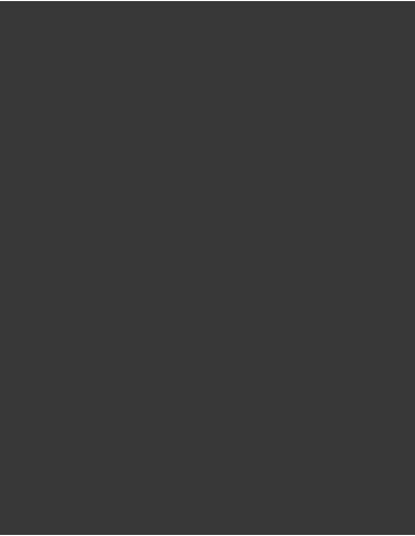 MAE-919-719-Polyneon 40 (1.000 m)
