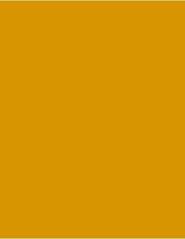 MAE-919-719-Polyneon 40 (1.000 m)
