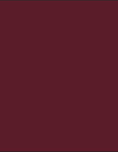 MAE-919-719-Polyneon 40 (1.000 m)