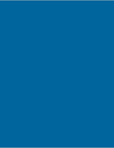 MAE-919-719-Polyneon 40 (1.000 m)
