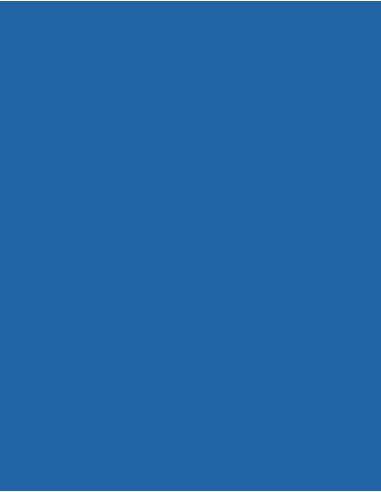 MAE-919-719-Polyneon 40 (1.000 m)