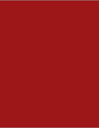 MAE-919-719-Polyneon 40 (1.000 m)