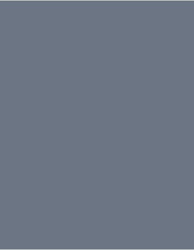 MAE-919-719-Polyneon 40 (1.000 m)