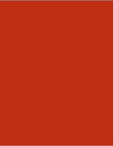 MAE-919-719-Polyneon 40 (1.000 m)