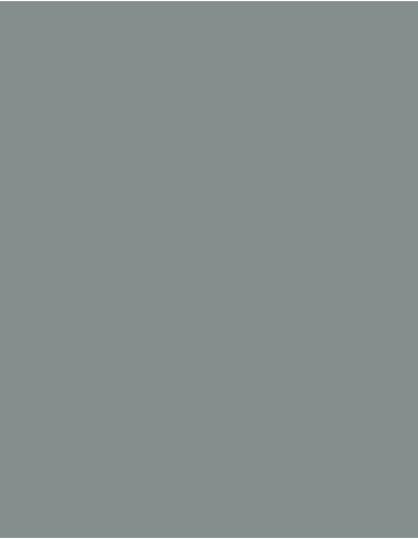 MAE-919-719-Polyneon 40 (1.000 m)