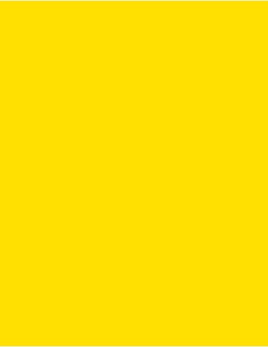 MAE-919-719-Polyneon 40 (1.000 m)