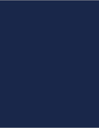 MAE-919-719-Polyneon 40 (1.000 m)