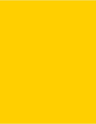 MAE-919-719-Polyneon 40 (1.000 m)