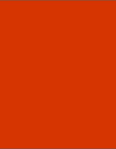 MAE-919-719-Polyneon 40 (1.000 m)