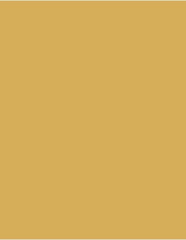 MAE-924-Polyneon 60 (1.500 m)
