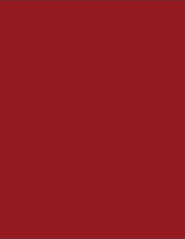 MAE-924-Polyneon 60 (1.500 m)