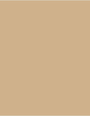 MAE-924-Polyneon 60 (1.500 m)