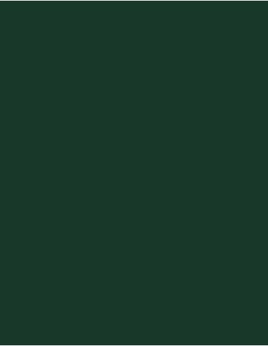 MAE-924-Polyneon 60 (1.500 m)