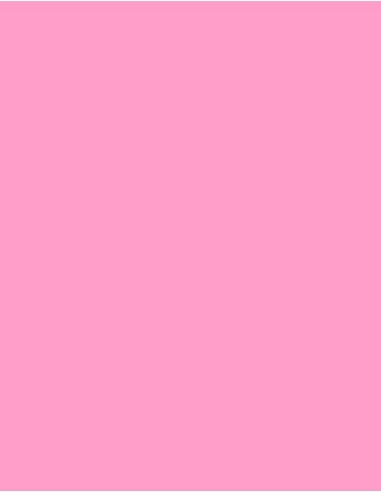 MAE-924-Polyneon 60 (1.500 m)