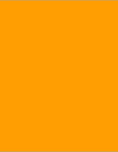 MAE-924-Polyneon 60 (1.500 m)
