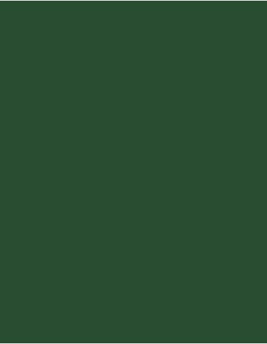 MAE-924-Polyneon 60 (1.500 m)