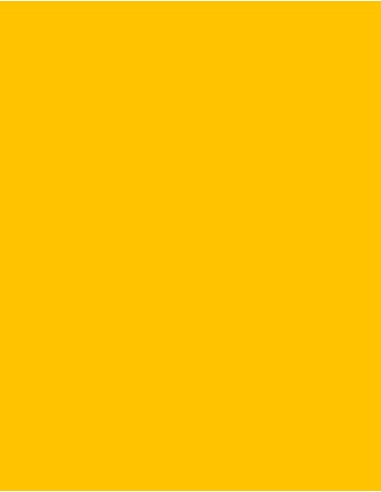MAE-924-Polyneon 60 (1.500 m)
