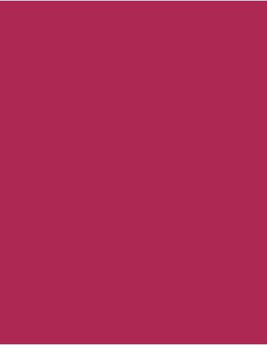 MAE-924-Polyneon 60 (1.500 m)