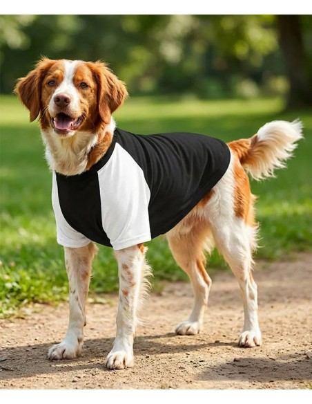 POT-PP001-T-shirt raglan pour chien