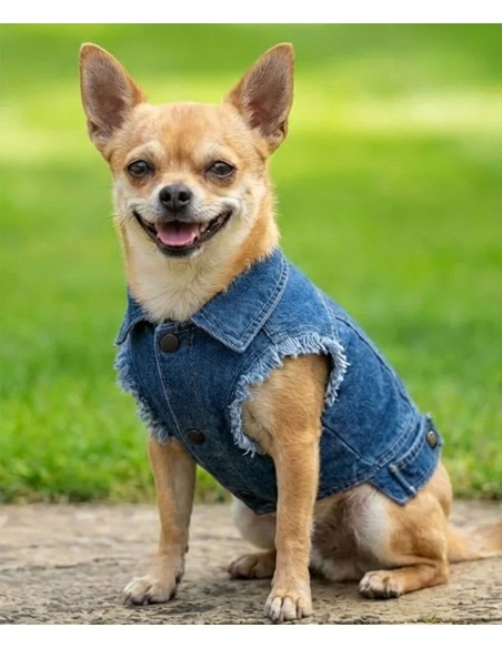 POT-PP003-Veste Denim pour chien