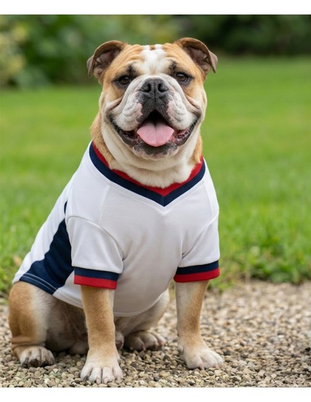 POT-PP008-T-shirt de football pour chien