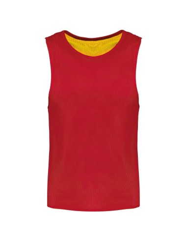 PRO-PA042-MULTI-SPORTS REVERSIBLE BIB