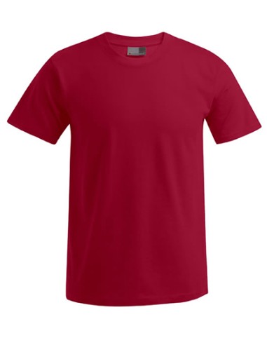PRM-3000/3099-Mens Premium-T