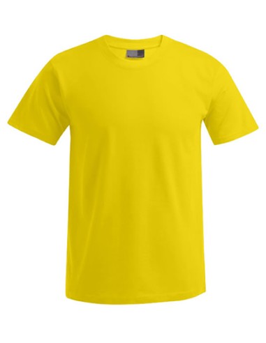 PRM-3000/3099-Mens Premium-T