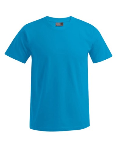 PRM-3000/3099-Mens Premium-T