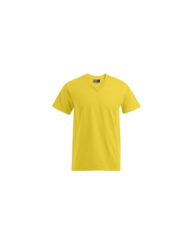PRM-3025-Premium V-Neck-T
