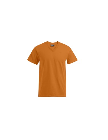 PRM-3025-Premium V-Neck-T
