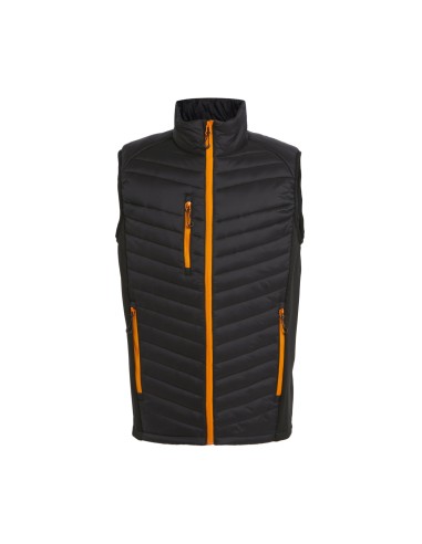 REG-TRA894-Navigate Hybrid Bodywarmer