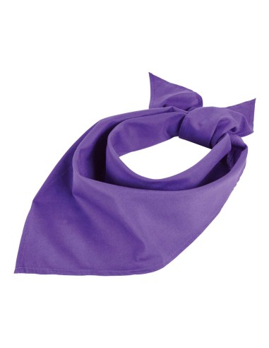SOL-01198-Bandana