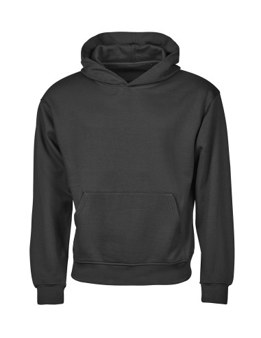 TEE-5162-UNLABELED Heavy Loose Fit Hooded Sweatshirt