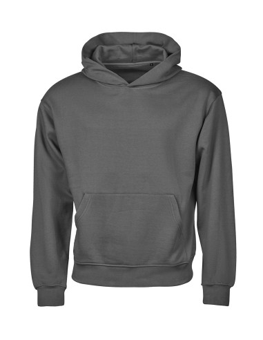 TEE-5162-UNLABELED Heavy Loose Fit Hooded Sweatshirt