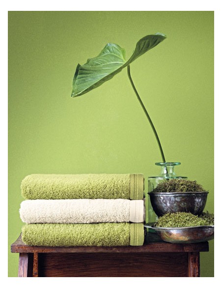 VOS-XF350H-Vegan Life Hand Towel