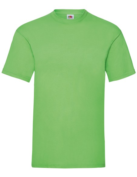 F-61-036-0--Valueweight T