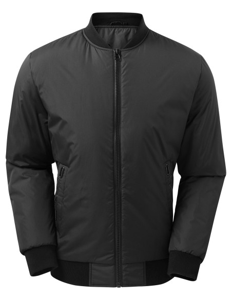 2-TS035-Bomber Delta plain