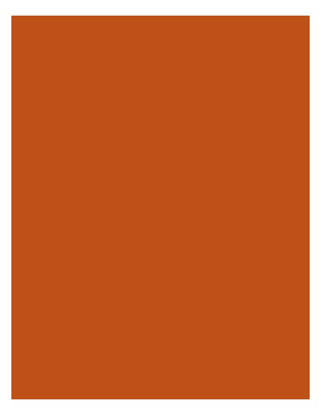 M-924-Polyneon 60 (1.500 m)