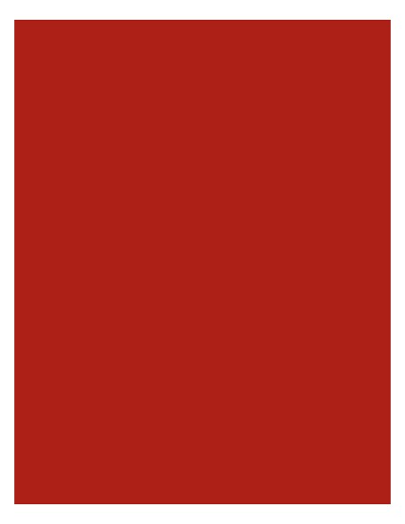 M-924-Polyneon 60 (1.500 m)