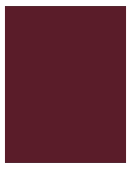 M-924-Polyneon 60 (1.500 m)