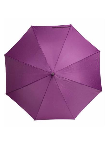 P-010329-Automatik Umbrella Spring