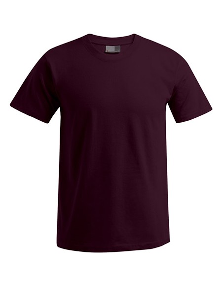 P-3000-3099--Mens Premium-T