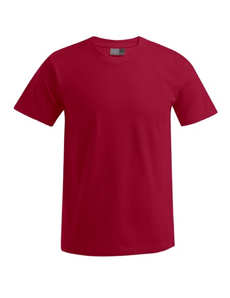 P-3000-3099--Mens Premium-T
